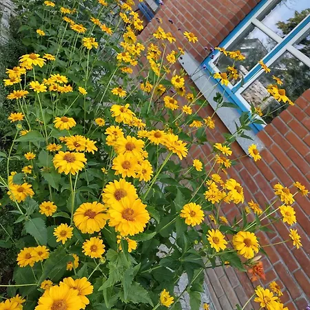 Holiday home U Janciow