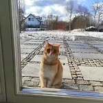 U Janciow Nyaraló *