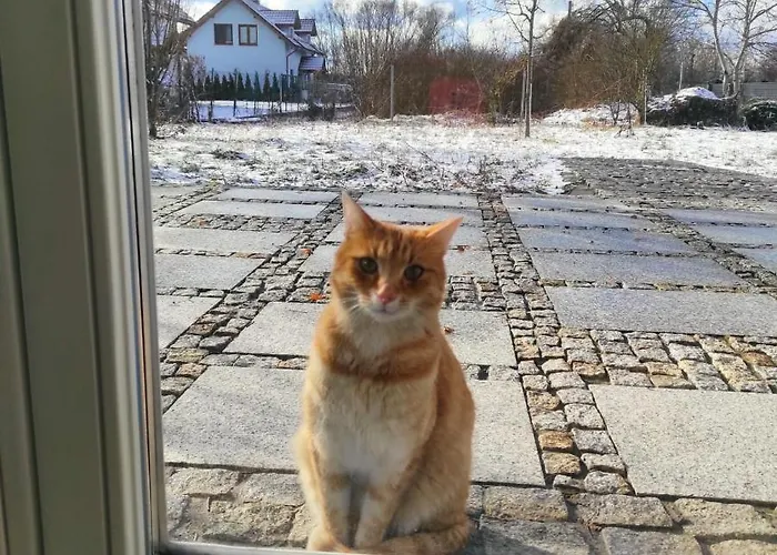 U Janciow Дом отдыха *