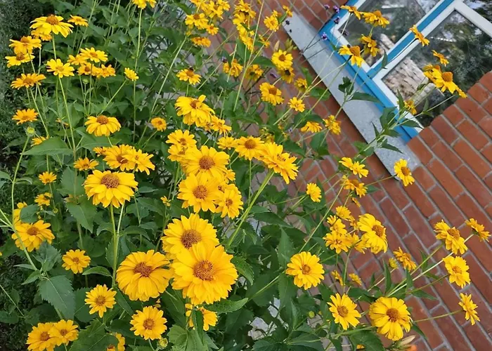 Дом отдыха U Janciow